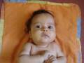 videos de Meus Filhos, Minha Vida