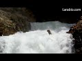 Click here to watch this video Les sources du Fleuve d'Adonis