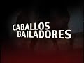 CABALLOS BAILADORES EN TELEVISION TuVision