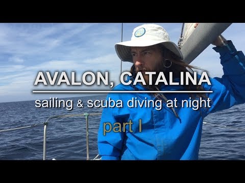 Sailing to Avalon and Scuba Diving at Night on SV Triteia_B�v�rkod�s. Heti legjobbak