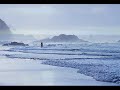 O �ltimo p�r-do-sol - lenine