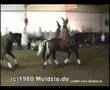 Dornröschen, TV Märchen II