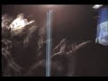Puya-Remora