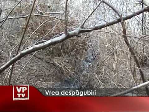 Vrea despăgubiri