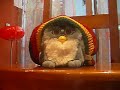 Furby-Rasta Furby-Rasta