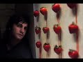Search Video