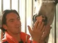 Paardensport - Op stal bij Tommie Visser Paardensport - Op stal bij Tommie Visser
