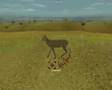 Polowanie w Hunting Unlimited 3