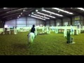 Justin's Pal & Orla Cuffe- 70cm Mullingar 12/2/12