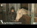 Recettivit� Portomaggiore