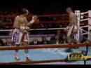 Roy Jones Jr. Tribute