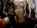 Feestje Rudon3