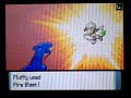 Pokemon WiFi Battle 115 (YukiJadenSurvives)