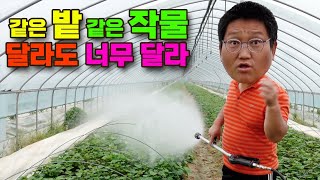 토생수