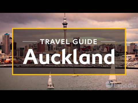 Auckland Travel Guide