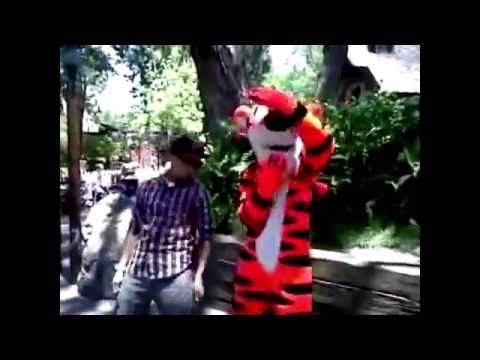 tigger