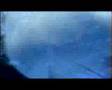 Finswimming Germany