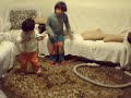 Davi e Matheus tocando quando era bebe