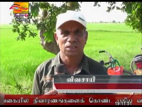 Rupavahini Tamil News