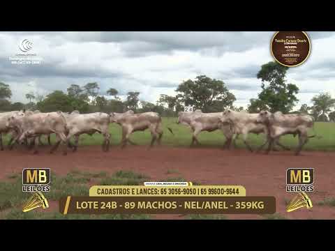 11� LEIL�O FAM�LIA LUCIANO DUARTE E CONVIDADOS