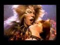 The Rum Tum Tugger