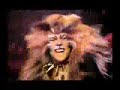 The Rum Tum Tugger