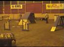 Dami at Riihim�ki 15 March 2008, 3 competitions
