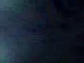 wardys kiss