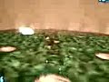 fier temple boss VOLVAGIA fier temple boss VOLVAGIA