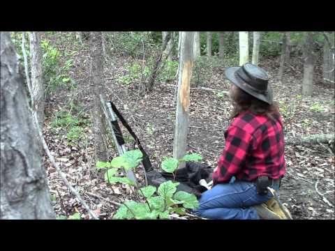 how to cure wood quickly