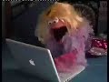 Lolly - Internet Love Lolly - Internet Love
