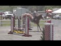 Click here to watch this video Bella Wins at BN