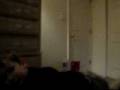 videos de Vin's Story
