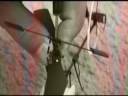 oscillation.wmv