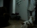 Peluchin Gracioso