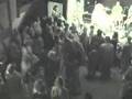Fight in Pit Fight in Pit