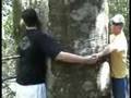 videos de Pirenópolis - GO
