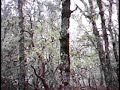 XR600 Test Helmet Cam