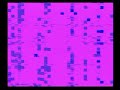 バブルシステム ウォーミングアップ