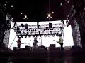 be your own pet \"wildcat!\" @ lollapalooza 2006
