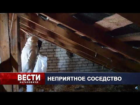 Вести Барановичи 03 октября 2023.