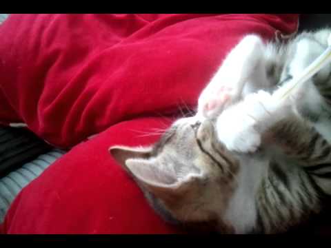 how to help with teething