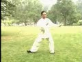 Feng Zhi Qiang - Xinyi Hunyuan Taiji 48 Form