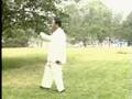 Feng Zhi Qiang - Xinyi Hunyuan Taiji 48 Form