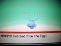 Update: June 20,2009 around 5 pm Wow! 10000 views! thats so awesome! Thank you to all that have made this possible! This is All legit. You cannot catch Manaphy in the wild or find it at lvl 100 with out an action replay!!!The only way u can get one is by trading with a friend or using Pokemon Ranger!(like I did) Rate, comment and Subscribe! Song: Get Born Again by Alice In Chains