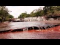 Travel to V. and learn spanish with coined Video
