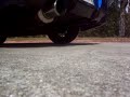 wrx genome wrx genome