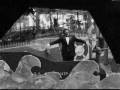 OFFICIAL VIDEO Sad Song - The Spring Standards