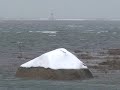 Snow on Cape Cod!