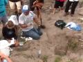 Maui Baby Green Sea Turtle Rescue